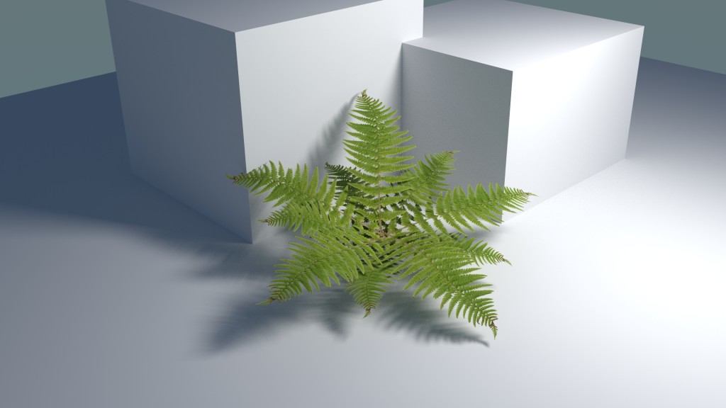 Fern for Cycles preview image 1
